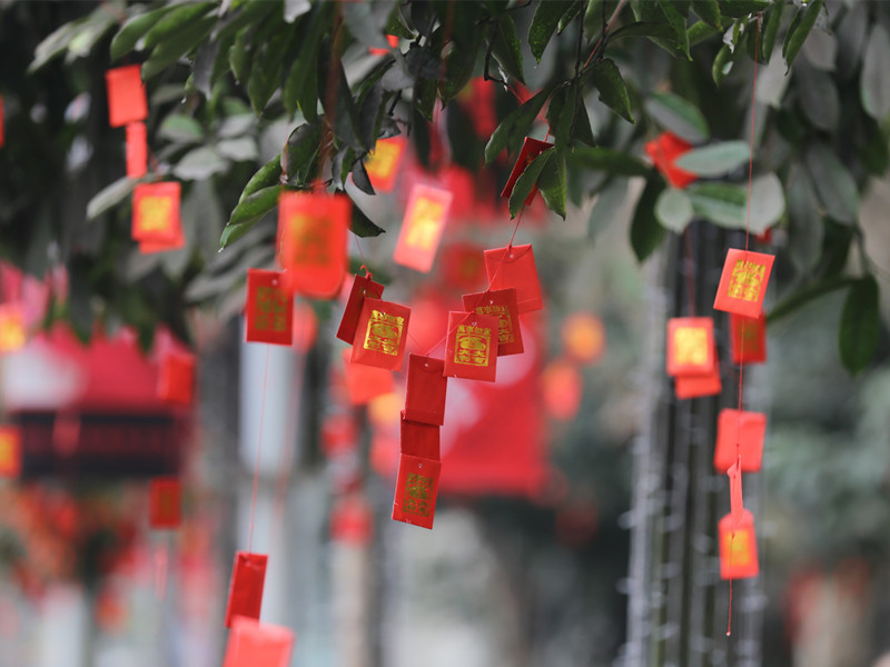 属鸡人这几年的运势怎么样？